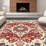 Ultra Soft Area Rug, Non Slip, Stain Resistant, Washable Area Rugs for Living Room, Bedroom, Chic Minimalist Dotted Pattern(Red)