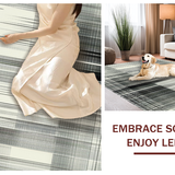 Ultra Soft Area Rug, Non Slip, Stain Resistant, Washable Area Rugs for Living Room, Bedroom, Classic Black And White Striped Rug: Entryway Decor Doormat(Gray)