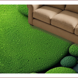 Ultra Soft Area Rug, Non Slip, Stain Resistant, Washable Area Rugs for Living Room, Bedroom, Ultra-Soft Plush Living Room Earth Rug(Green)