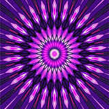 Kaleidoscope Starburst Radial Design(Purple)