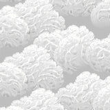 Exquisite Heavenly Cloud Dreamy Ethereal Touch(White)