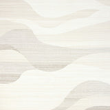 Creamy White Dream Weaver Luxurious Faux Fur Texture Design(Beige)