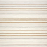 Coastal Chic Area Cream & Beige Hues Natural Woven Border(Beige)