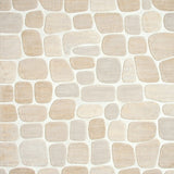 Serene Beige Accent with Pebble Shapes and Natural Textures(Beige)