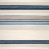 Textured Stripe Beige Blue Area(Beige)