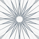 Celestial Starburst Medallion Plush Decorative Accent(Gray)