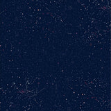 Celestial Constellation Midnight Sky Radiant Pathway(Black)