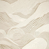 Cozy Beige Bath Collection Super Absorbent Area for Home(Beige)