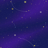Celestial Sky with Constellation Mapping Design(Purple)