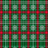 Festive Snowflake Plaid Holiday Pathway Accent(Green)