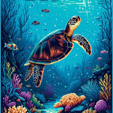 Fresh Ocean Breeze Palette(Blue)