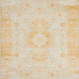Beige Vintage Look Area Sand Tones Classic Distressed(Beige)