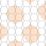 Hexagonal Honeycomb with Minimalist Modern Appeal (White)