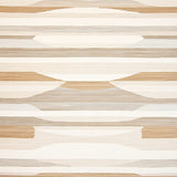 Handwoven with Beige Chevron Stripes and Linear(Beige)