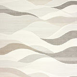 Elegant Cloud Cream Area Non Shedding & Easy Care Home Accent(Beige)