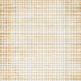 Elegant Area with Distressed Checkered in Warm Tones(Beige)