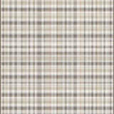 Dream Weaver A Beige and Smoke Toned Checkered Delight(Beige)