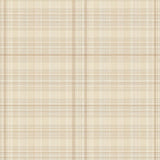 Farmhouse Area Plaid Patterned(Beige)