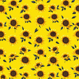 Whimsical Blooming Petal Arrangement(Yellow)