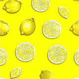 Charming Citrus Slice Aesthetic(Yellow)