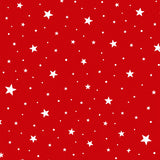 Enchanted Winter Wonderland Starlight(Red)