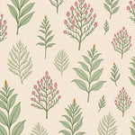 Herbarium Specimen Print with Naturalist Illustration Style (Ivory) - ODIKA