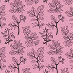 Elegant Herbarium Naturalist Study (Pink) - ODIKA
