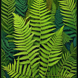 Rustic Contour Bath Ensemble(Green)