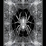 Spooky Spider Web(Black)