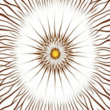 Celestial Burst Motif with Radiant Inspired Accents(Brown)