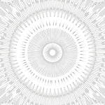 Starburst Medallion with Radial Sunburst (Gray) - ODIKA