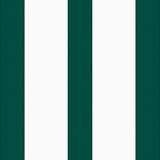 Athletic Field Striped Lightweight High Traffic(Green)