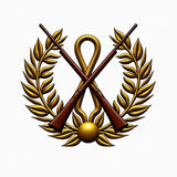 Military Honor Guard Tribute Medallion Throw (Gold)