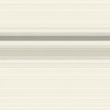 Contemporary Beige Area Linear Stripe(Beige)