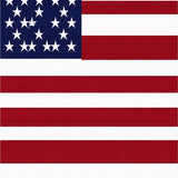 American Flag Area Rug(Red)