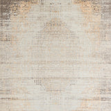 Neutral Legacy Muted Elegant Distressed Non Slip(Beige)