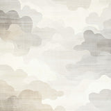 Ethereal Cloudscape Area Modern Beige Grey Blended(Beige)