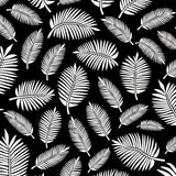 Monochrome Tropical Palm Frond Abstract Art(Black)