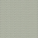 Hexagonal Honeycomb Lattice with Botanical Accent Fills(Gray)