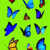 Joyful Cheerful Graphic Style(Blue)