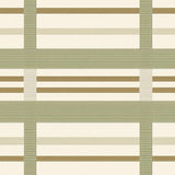 Porch Deck Mudroom Beige Sage Green Striped(Beige)