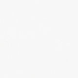 Faux Sheepskin with Silky Smooth Finish(Gray)