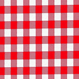 Festive Buffalo Check Holiday(Red)