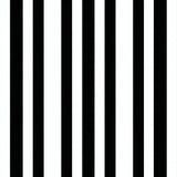Modern Stripe Symphony Black & White Geometric Floor Covering(Black)