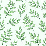 Botanical Leaf Print Decorative with Nature Inspired Artwork(Green)