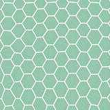 Hexagonal Honeycomb Lattice with Modern Minimalist Appeal (Green)