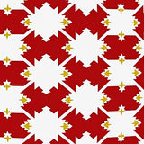 Contemporary Festive Patchwork with Starburst and Buffalo Check(Red)