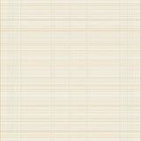 Chic Beige Linear Indoor Area(Beige)