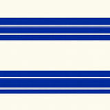 Sporty Stripes Parallel Bands Stylish Modern Distinctive(Blue)