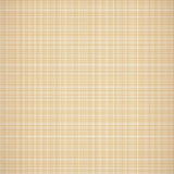 Nepenthe Beige Checked Woven Design Interior Accent(Beige)